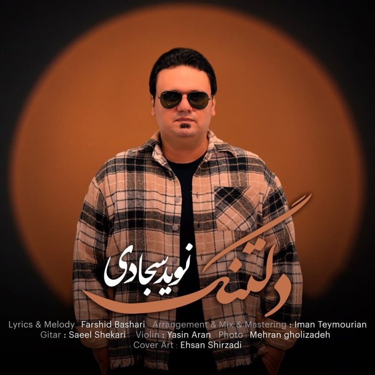 دانلود آهنگ دلتنگ از نوید سجادی